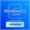 Windows 11 Pro 1 Device Online Activation